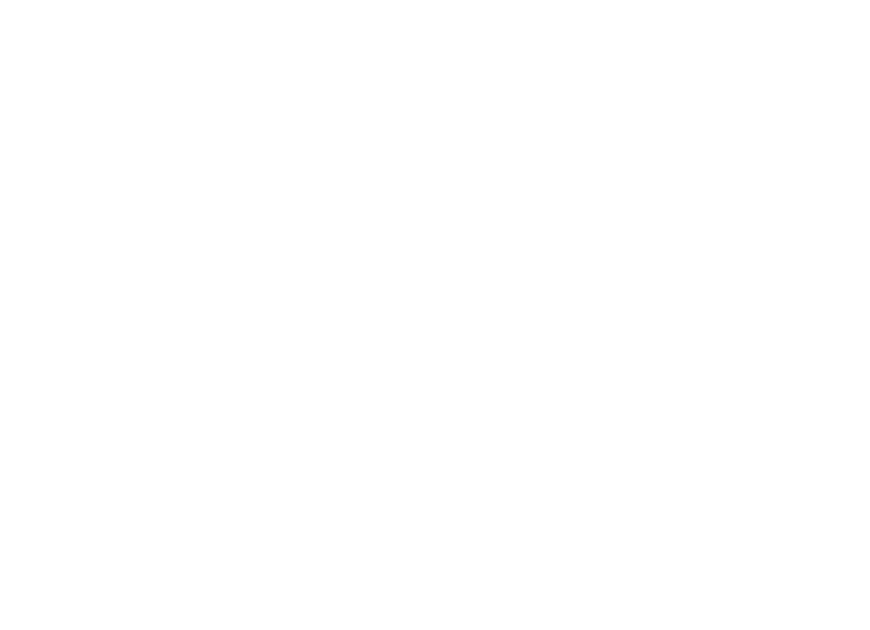 Logo Bravest Wind
